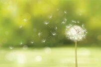 70代以上「本当の貯蓄額＆老後生活にかかるお金」