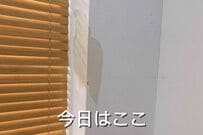 【壁紙DIY】猫にボロボロにされた壁が復活！初心者が「たった1時間半」で直す神リメイク術　継ぎ目も消えた？劇的ビフォーアフター
