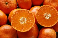 【65歳以上無職世帯の家計収支】消費支出は「65～69歳世帯」が最も多い結果に。厚生年金と国民年金の平均月額はいくら？