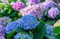 【約7割が65歳以上】命に関わる重大な自転車事故「ヘルメット着用していますか？」