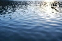 【茨城県】漁港湾内で釣り上げた「94cmの巨大ヒラメ」　とんでもない大きさに「もはや掛け布団だ」