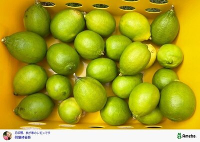 假屋崎省吾のAmebaブログ投稿