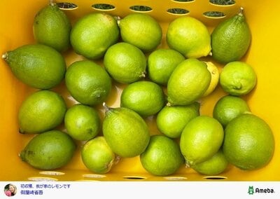 假屋崎省吾のAmebaブログ投稿