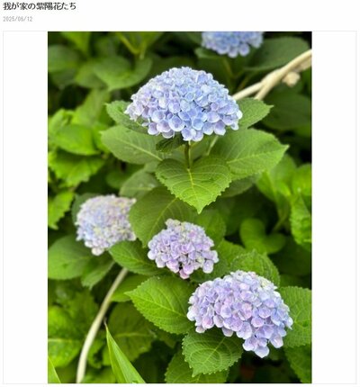 研ナオコが投稿した写真