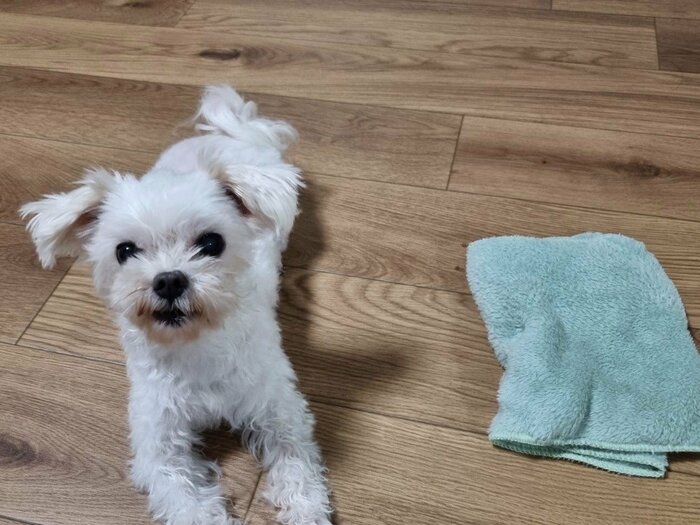 8分ほどでしっかり乾かせました