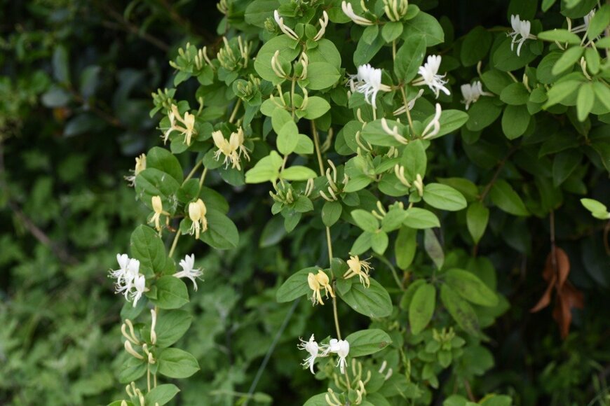 undefined undefined/istockphoto.com