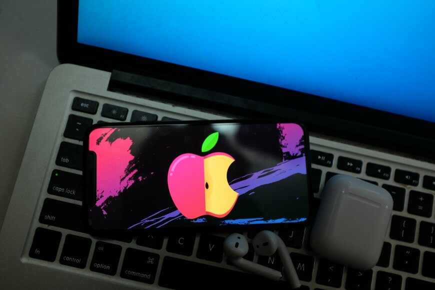 DANIEL CONSTANTE/shutterstock.com