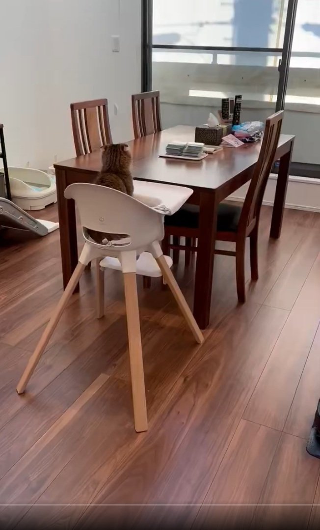 出所：@ponpokopontanu