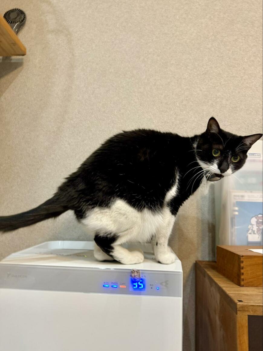 出所：@omochi_nam01