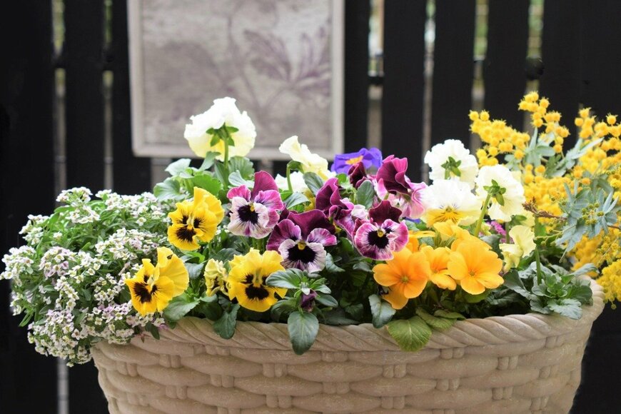 syan/istockphoto.com