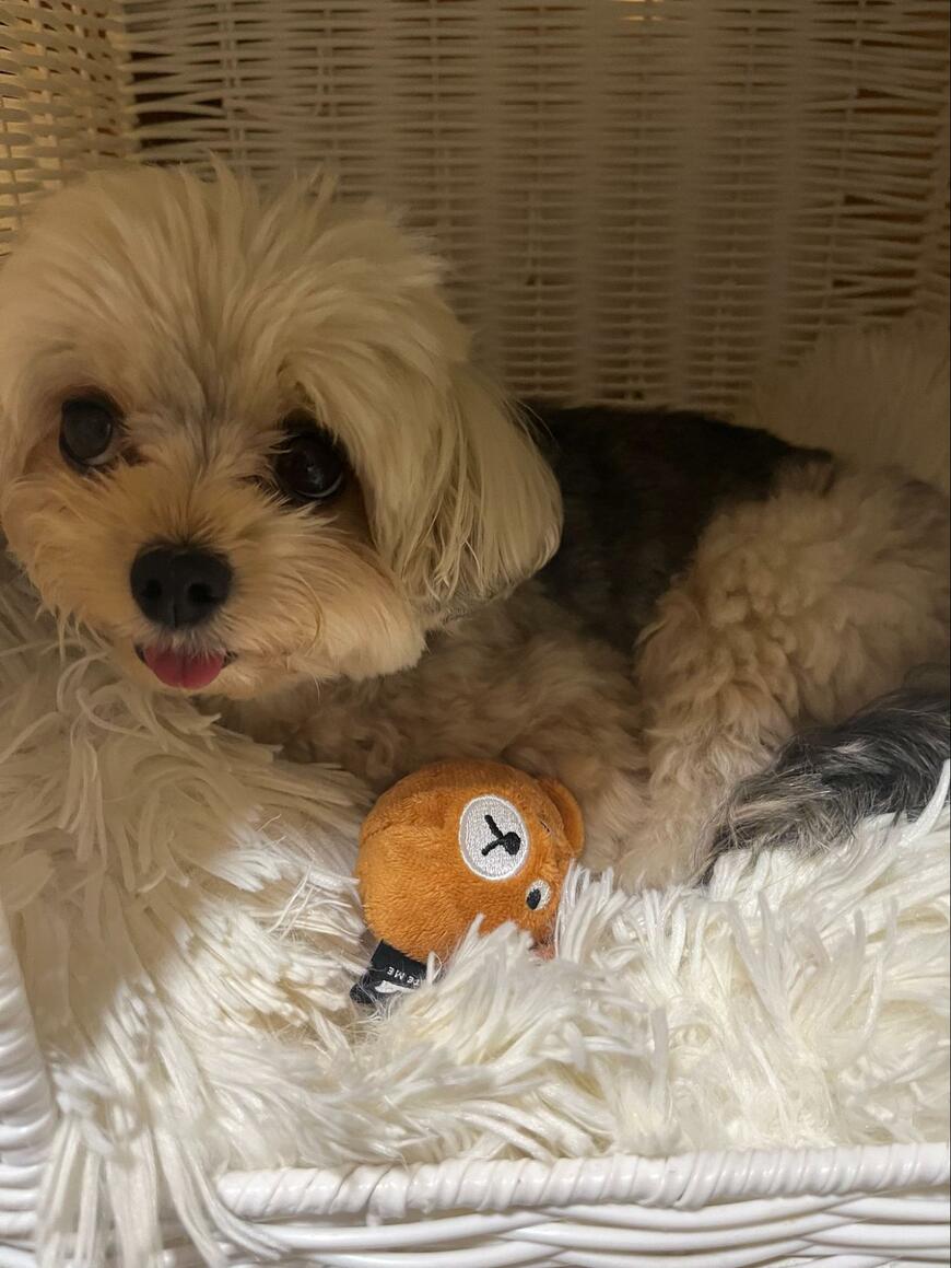 出所：@potage_0924