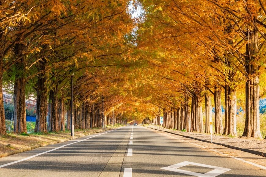 出所：john901/shutterstock.com