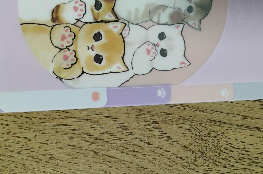 筆者撮影（セリア、mofusand A6クリアファイル3ポケット）