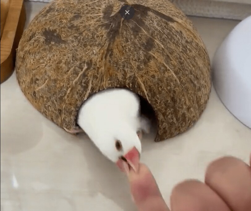 出所：@7nNxrg27PIUFCMS