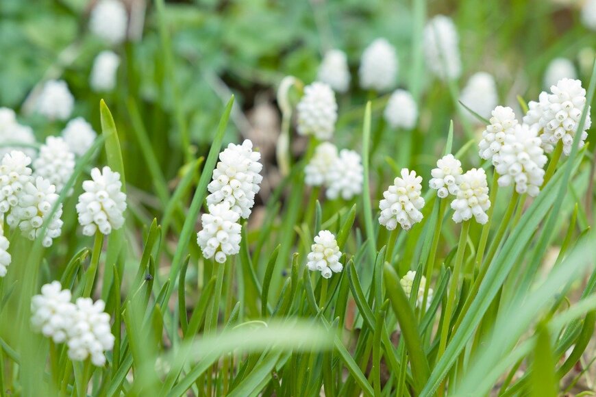 PaulMaguire/istockphoto.com