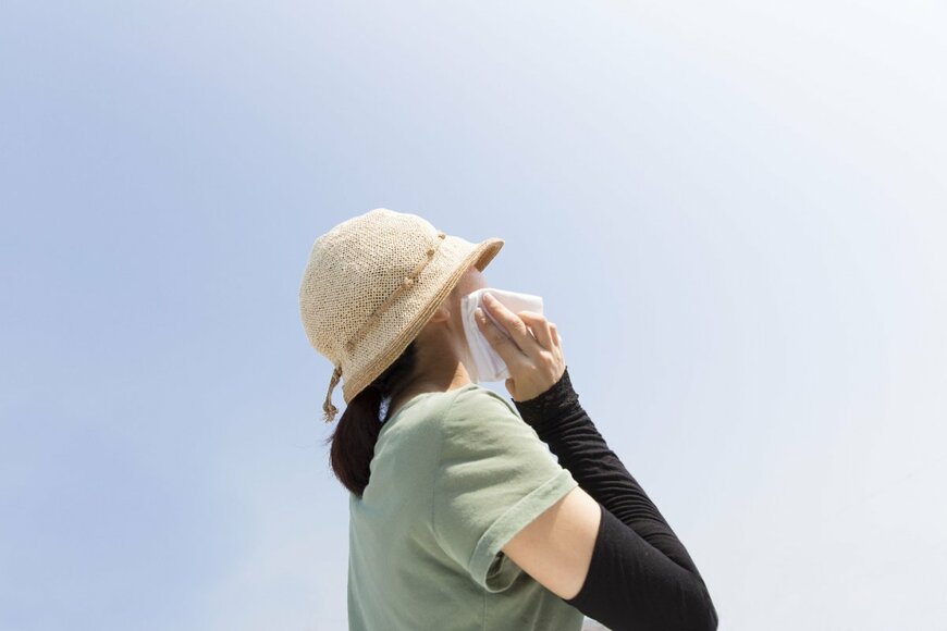 kazoka/shutterstock.com