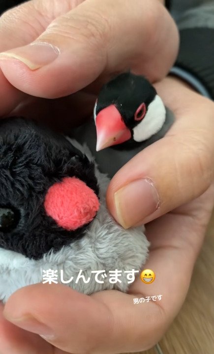 出所：@buntyo_suehiro