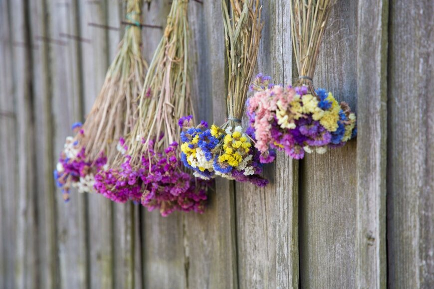 Mateusz Atroszko/shutterstock.com