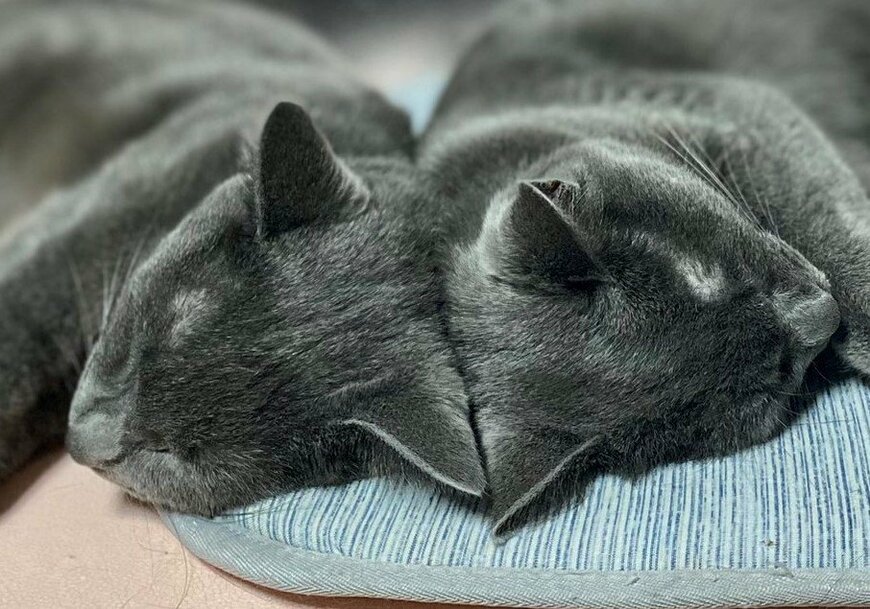 出所：@luna7taka9