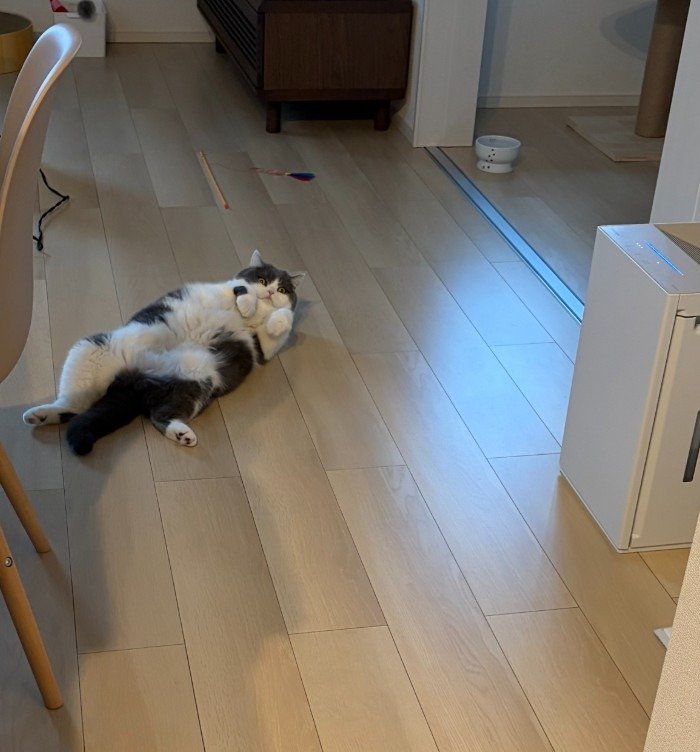 出所：@brimochi222