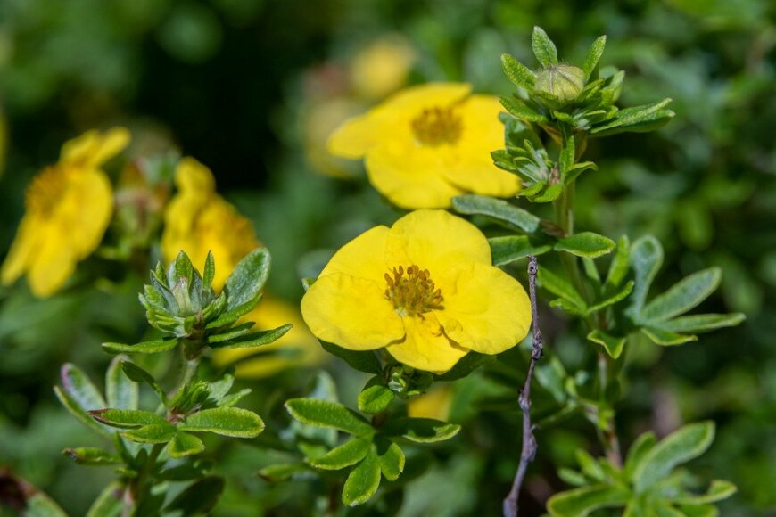 Barbara Gabay/istockphoto.com