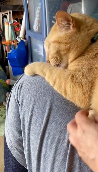 出所：@luna7taka9