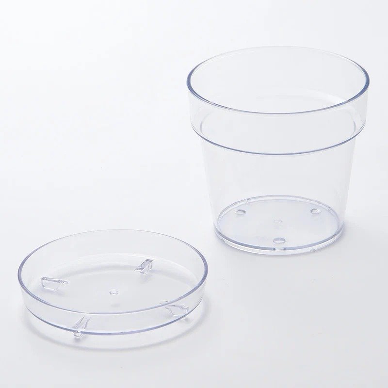 画像出所：ダイソーネットストア