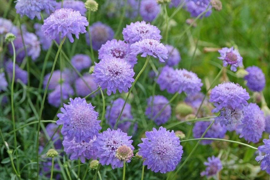 Alex Manders/shutterstock.com