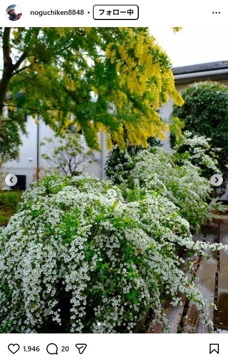 出所：野口健のInstagram（＠noguchiken8848） 参照日：2026年3月19日