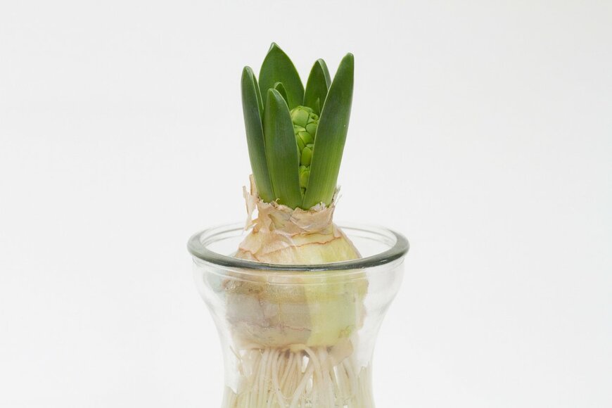 TETU/istockphoto.com