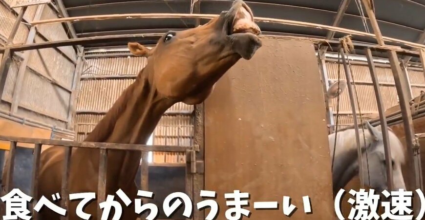 黒糖のおいしさに驚く様子