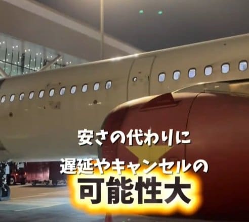 遅延やキャンセルの可能性を理解してLCCを利用