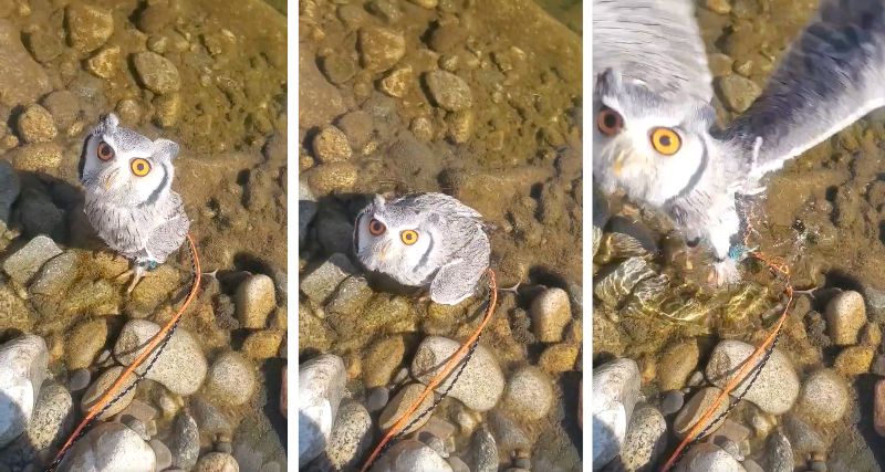 投稿写真