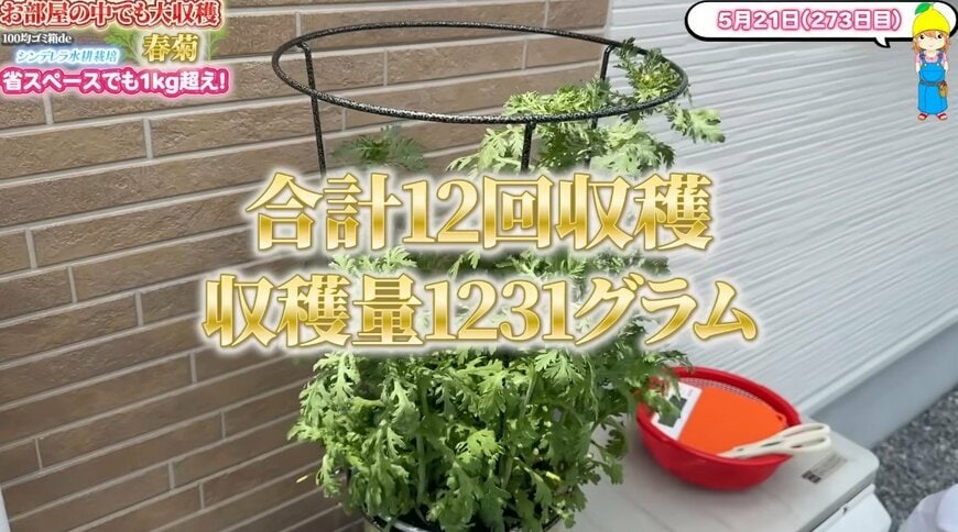 出所:@mikanbo-ya1987