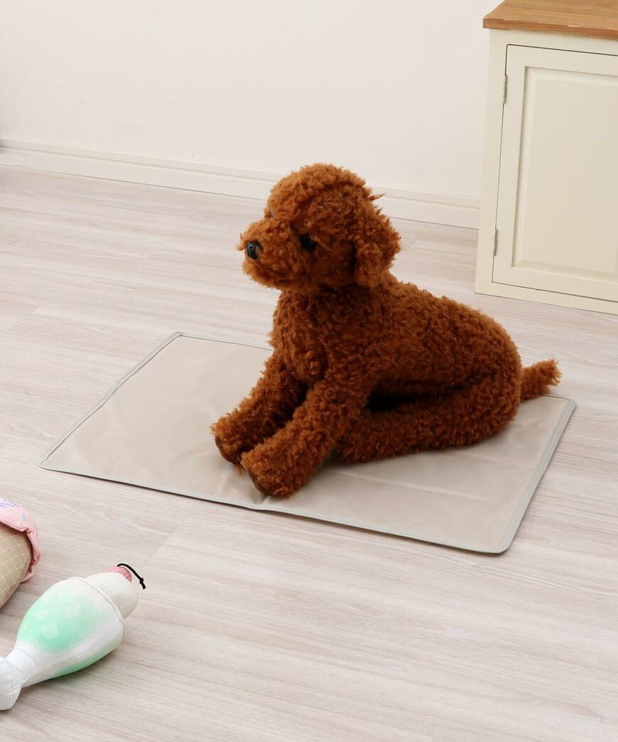 3COINS、ペット用冷感ジェルMサイズの商品画像