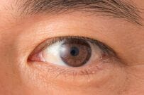 「本気を出した夫の瞳」に感動！美しい「ひまわり模様」に心を動かされる