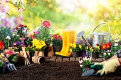 【春のガーデニング】今からリストアップしたい！カワイイ草花おすすめ10選＆寄せ植えのコツ