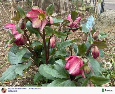 假屋崎省吾の公式ブログ投稿