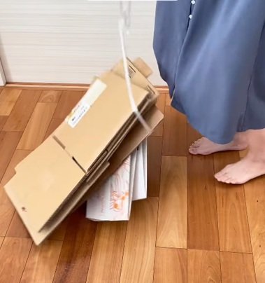 投稿の画像