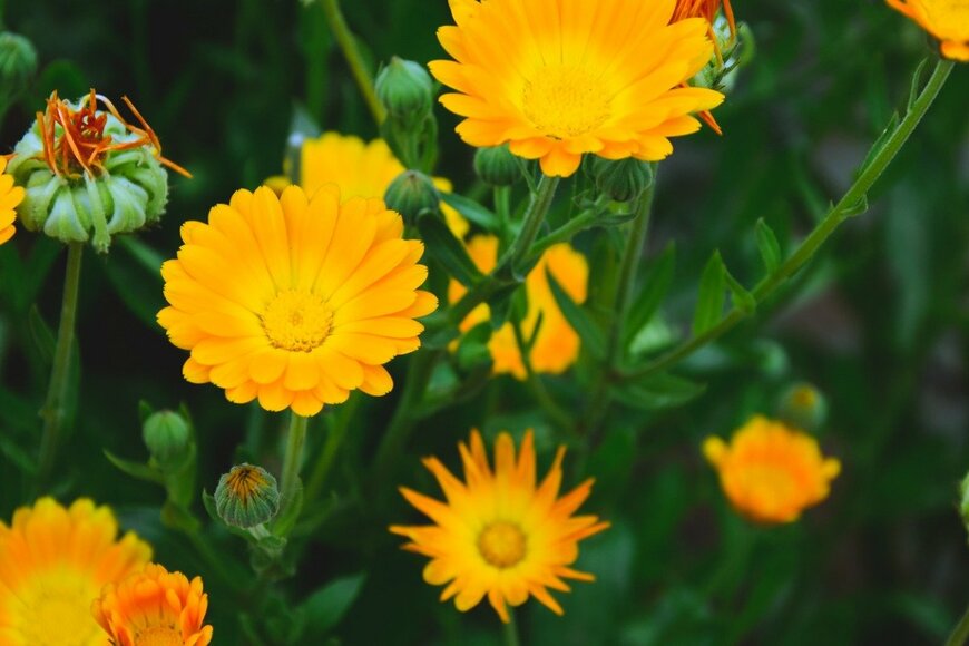 ADELART/istockphoto.com