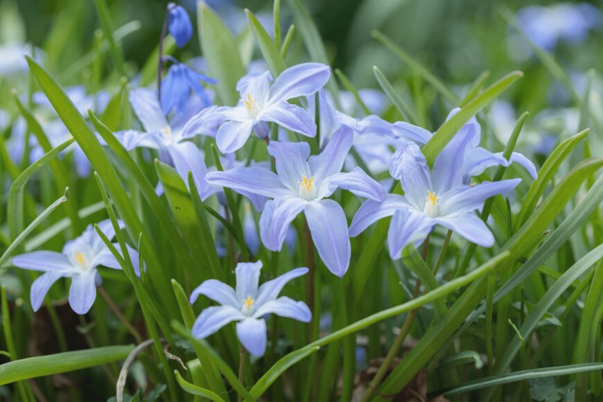 Amalia Gruber/shutterstock.com