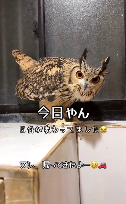 出所：@ba_chantolatte