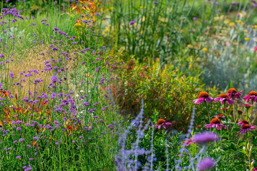 【春のガーデニング】植えっぱなしで毎年咲く！オシャレな多年草を植える庭づくり