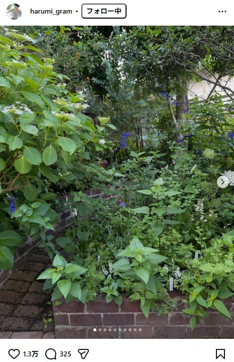 出所：栗原はるみのInstagram（＠harumi_gram） 参照日：2026年5月27日