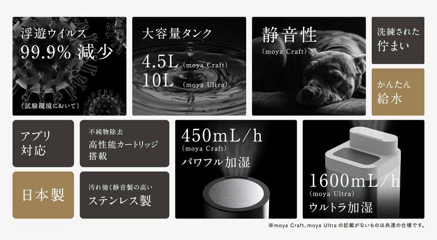 出所：プルガティオ株式会社提供