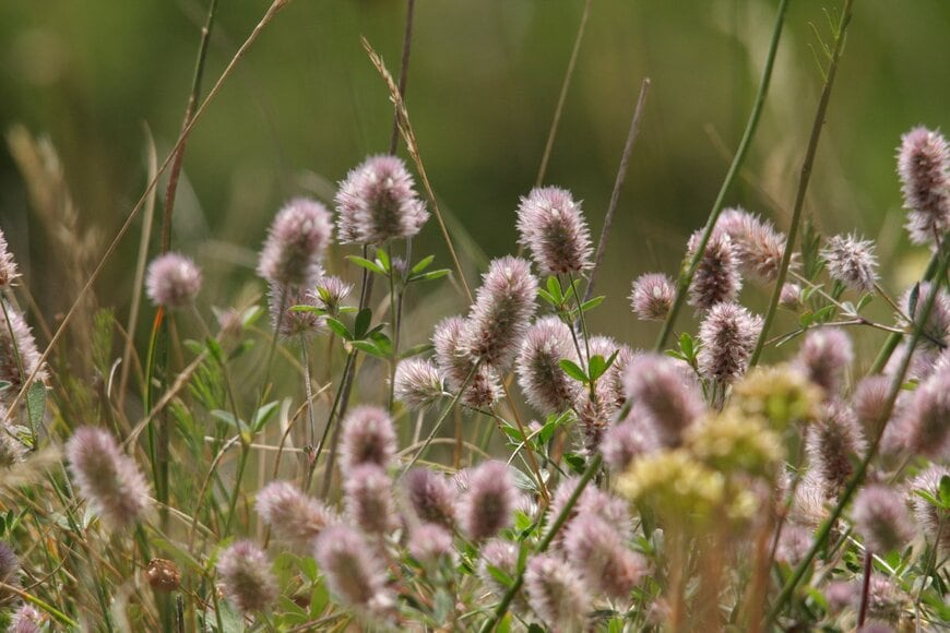 arenysam/shutterstock.com