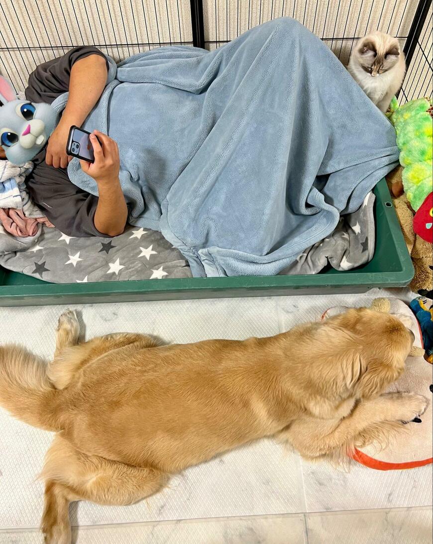 出所：@pu_channeldesu