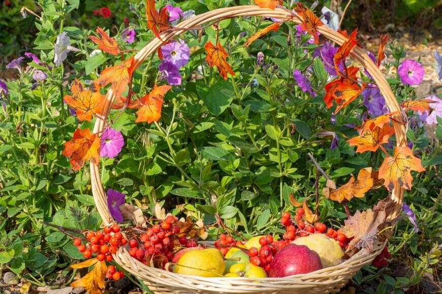 Aleksandr Krotkov/istockphoto.com