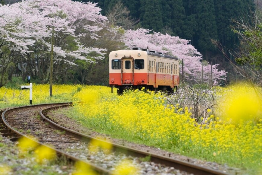 FotoCat99/shutterstock.com