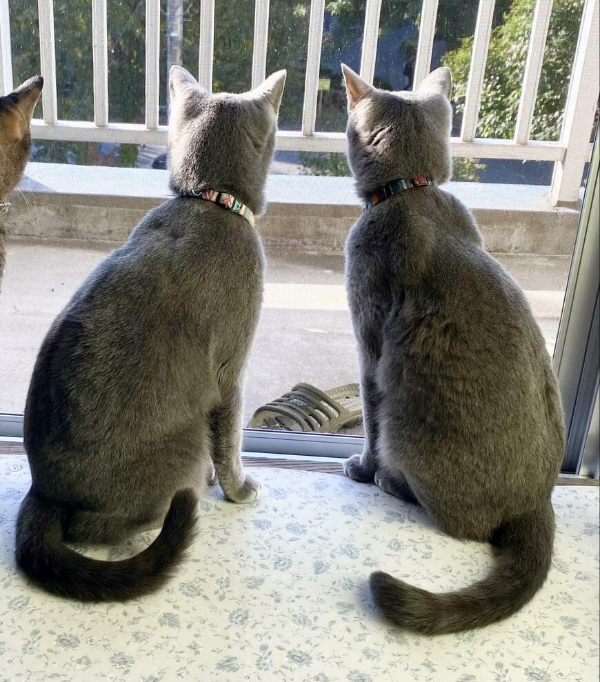 出所：@luna7taka9